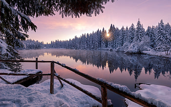 2880x1800 Winter Snow Trees Nature Outdoors Macbook Pro Retina , Backgrounds, and, macbook winter HD wallpaper