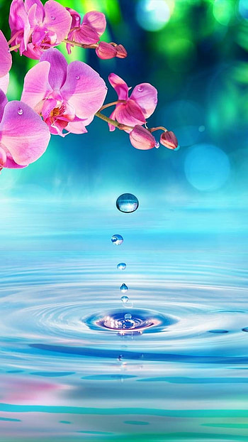 Nature For Android Mobile Full Screen, nature full screen mobile HD phone wallpaper