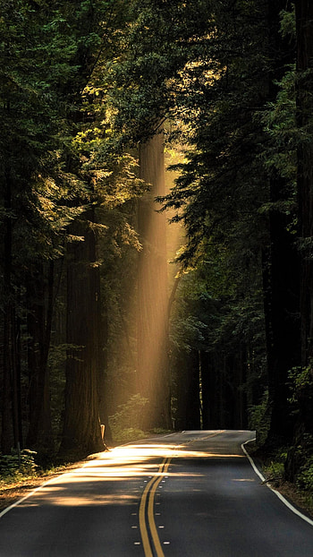 Man Made/Road, natural road mobile HD phone wallpaper
