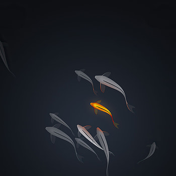 2932x2932 Koi Fishes Minimal Ipad Pro Retina Display , Backgrounds, and, minimalist ipad HD phone wallpaper