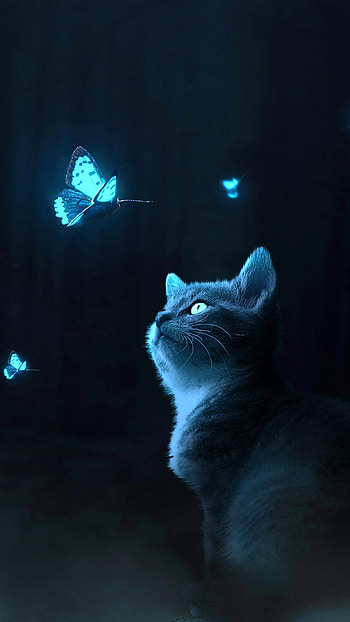 Butterfly Cat And, cat butterfly HD phone wallpaper
