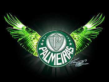 Papel De Parede Do Palmeiras 3d, sociedade esportiva palmeiras HD wallpaper