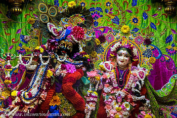 ISKCON Vrindavan HD wallpaper