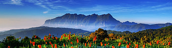 Nature Landscape Scenery Flower Mountain, spring 5120x1440 HD wallpaper