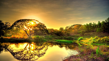 For PC Nature HD wallpaper