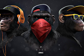 Cool Monkey, three wise monkeys HD wallpaper