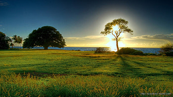 6 Windows Nature, nature for full size HD wallpaper