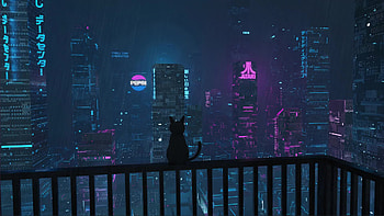 Rain in Japan City With Black Cat Live, japanese HD wallpaper