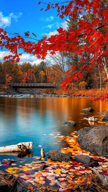 Autumn, lake, forest, Nature, autumn lake HD phone wallpaper