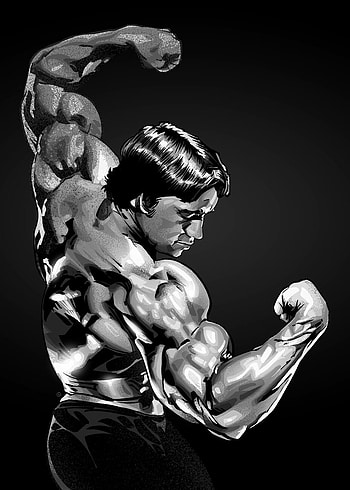 Wall Art Print Arnold Bodybuilding, bodybuilding logo HD phone wallpaper