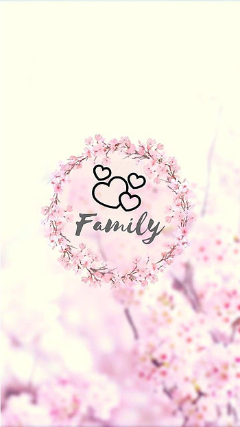 Instagram Icons Love Highlights, on, instagram highlights HD phone wallpaper