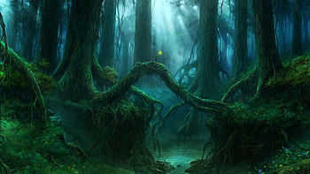 Magic Forest, enchanted forest ultra HD wallpaper