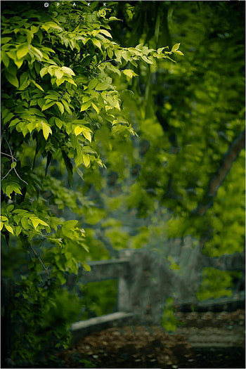 CB Backgrounds, cb blur HD phone wallpaper