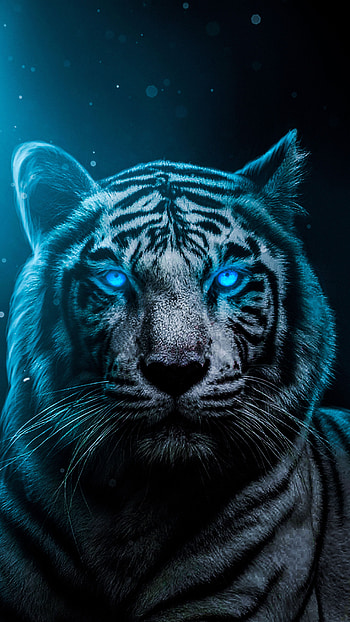 tiger, harimau albino HD phone wallpaper