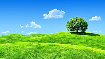 nature full screen computer HD wallpaper