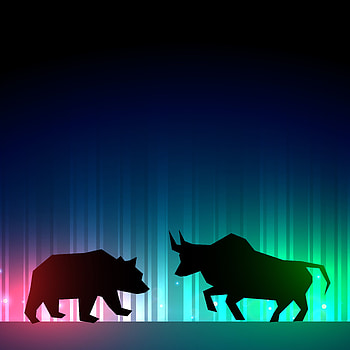 bulls forex bear bull market animal bearish wall street, bear market HD phone wallpaper