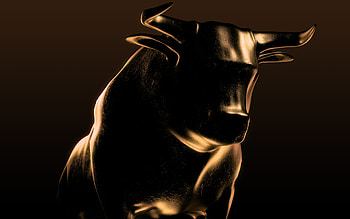 bear forex stock market bull vs bearish HD wallpaper