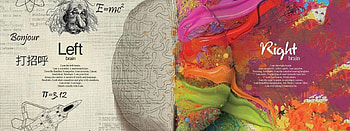 1k Left Right Brain, left brain HD wallpaper