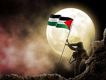 Palestine!, palestina HD wallpaper