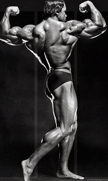 Arnold Schwarzenegger Bodybuilding . Backgrounds, bodybuilding HD phone wallpaper