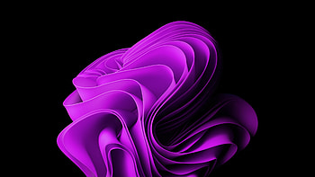 Windows 11 Black Purple, windows 11 purple HD wallpaper