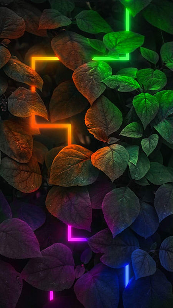Neon Nature , nature neon HD phone wallpaper