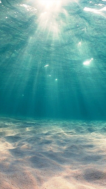 Under the Sea, inside ocean HD phone wallpaper