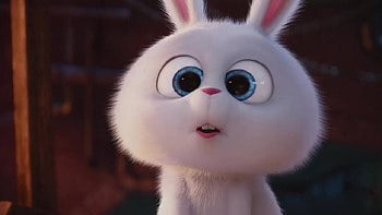 ปักพินโดย Tina Kristina ใน Snowball Secret life of pet, snowball rabbit HD wallpaper