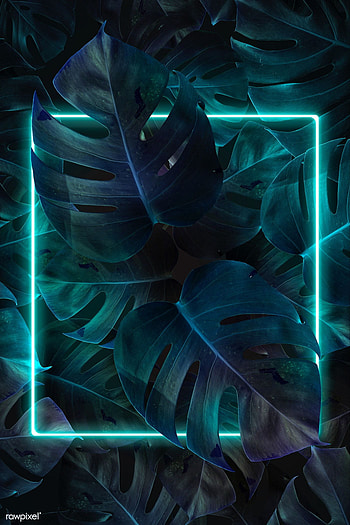 premium illustration of Green neon lights frame in a tropical, teal neon HD phone wallpaper