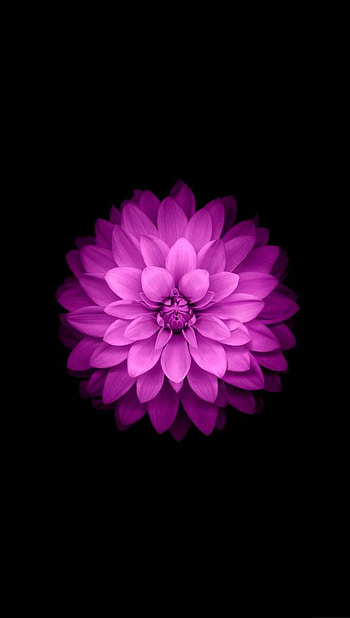 7 original HD phone wallpaper