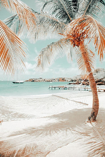 Aesthetic Summer posted by Christopher Walker, preppy beach HD phone wallpaper