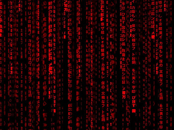 Red Matrix Gif HD wallpaper