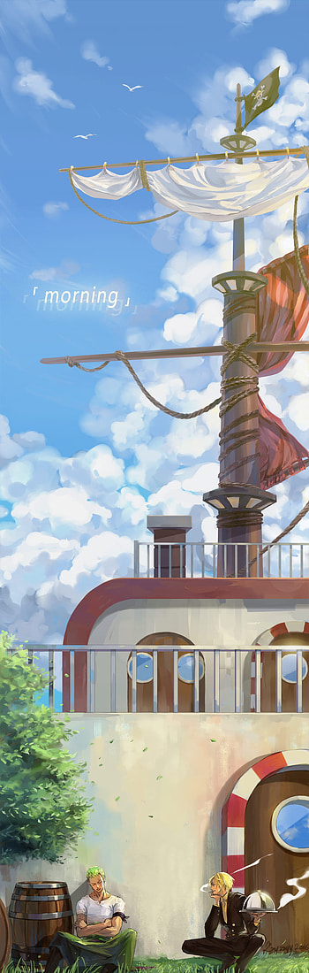 roronoa zoro, sanji, and thousand sunny HD phone wallpaper
