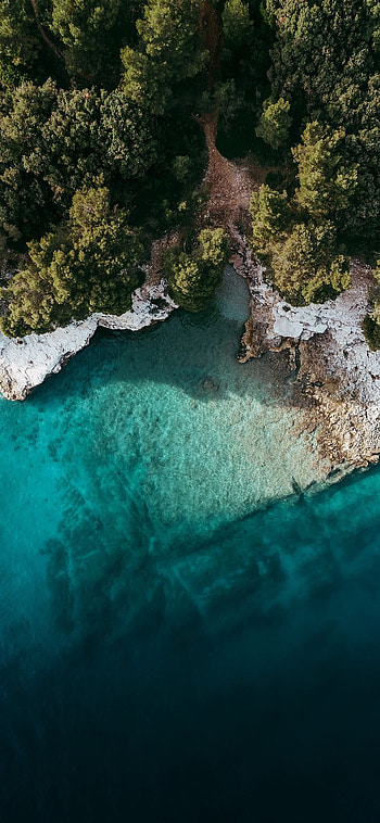 Xiaomi MIUI 12 / Live, xiaomi 12 HD phone wallpaper