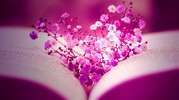4 Unique And Awesome Facebook Cover For Girls, new fb cover HD wallpaper