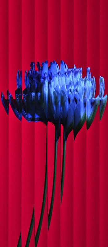Two Nothing HD phone wallpaper