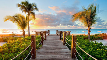 praia livre papel de parede HD wallpaper