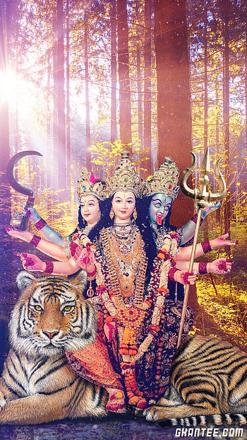 durga maa for navratri – Ghantee, navratri mata HD phone wallpaper
