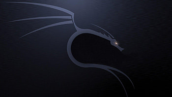 kali linux, Beck Turner 2017, kali linux 1920x1080 HD wallpaper