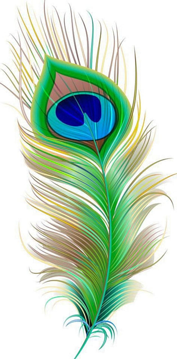 Peacock feather by CompetitiveCombine, krishna peacock feather HD phone wallpaper