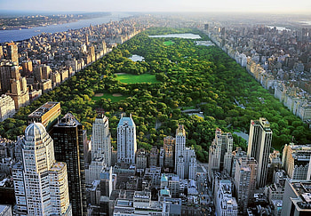 Central Park New York, spring new york city HD wallpaper