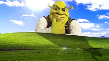 Meme backgrounds, memes pc HD wallpaper