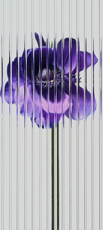 Nothing 1 leaked: them here HD phone wallpaper