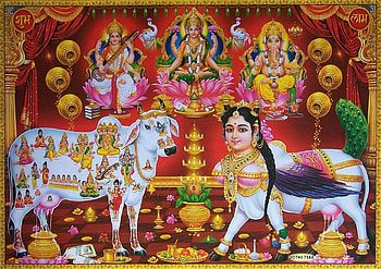 11 Kamdhenu ideas, kamadhenu HD wallpaper