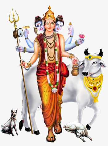 Lord Dattatreya Png, gurudev datta HD phone wallpaper