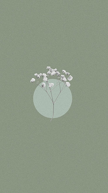 Green aesthetic ~, sage aesthetic HD phone wallpaper