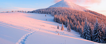 Winter, Nature Ultra Backgrounds for : & UltraWide & Laptop : Multi Display, Dual Monitor : Tablet : Smart, winter 3440x1440 HD wallpaper