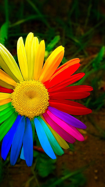 For Android s Group, for mobile HD phone wallpaper