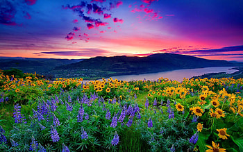 beautiful scenery Group with 60 items, nice scenery HD wallpaper