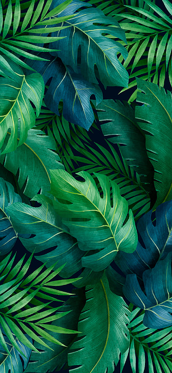 TROPICAL AESTHETIC GREEN LEAVES HD phone wallpaper